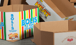 Cajas de carton corrugado - Packaging Logistics