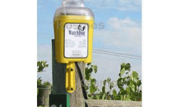 Alertas de heladas watchdog Iluminador