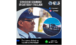 Custodia de bienes personal capacitado en defensa personal GS3