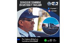 Custodia de mercancias y valores GS3