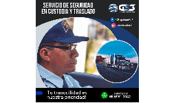 Custodias locales y foraneas GS3