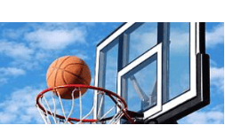 Lamina de policarbonato LEXAN ® XL10 