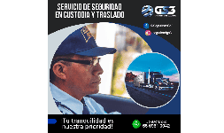 Escoltas de seguridad para defensa y protección de personas GS3