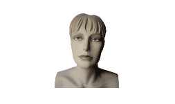 Maniquies con cabeza para exhibición de lentes