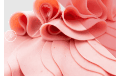 Plasma para Proteínas Cárnicas