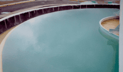 Biodispersantes para Tratamiento de Aguas Industriales en México