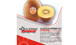 Etiquetas en rollo para la industria agricola 5000 piezas mínimo requerido