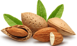 Saborizantes líquidos Artificial FDA Almendra Grado 