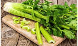 Saborizantes líquidos Artificial FDA Apio