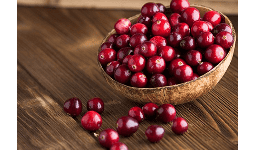 Saborizantes líquidos Artificial FDA Arándano