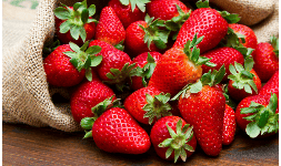 Saborizantes en polvo Artificial FDA Fresa