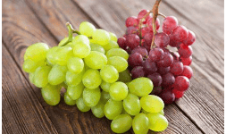 Saborizantes en polvo Artificial FDA uva  