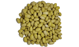 Frijol peruano por tonelada AGA