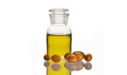 Aceite de argan - Fenixchem