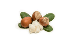 Shea Butter mínimo requerido 10 kg