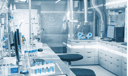 Removedor de Tintas  y Pintura