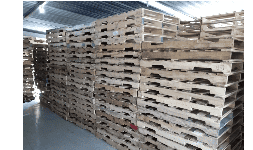 Tarimas usadas de madera de 1.00 X 1.20 mts