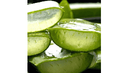 Extracto acuoso de aloe vera mínimo requerido 5 kg
