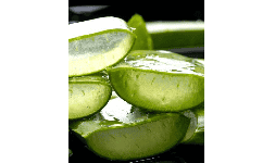 Extracto acuoso de aloe vera libre de parabenos
