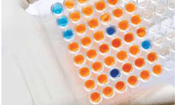 Pruebas Rápidas Microbiología 