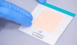 Pruebas Rápidas Microbiología 