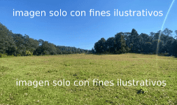 Terrenos en Culiacán Plusvit