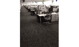 Alfombras de poliester de fácil mantenimiento