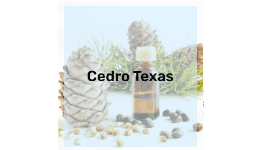 Aceite Esencial de Cedro Texas para Aromaterapia