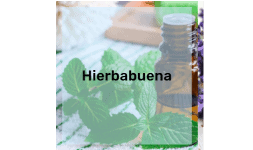Aceite Esencial de Hierbabuena como Estimulante Digestivo