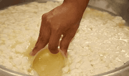 Suero dulce de leche en polvo RAGAR