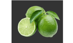 Limón deshidratado para uso en coctelería