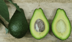 Aguacate hass Palta hass