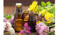 Fragancias para Velas Aromáticas al por Mayor