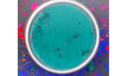 Pigmentos organicos Policíclicos