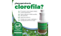 Clorofila liquida - Coyoacán Química