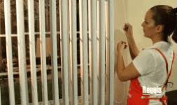 Persianas verticales y horizontales SHEER ELEGANCE