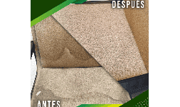 Shampoo para alfombras ALFOSHAM