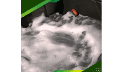 Shampoo para alfombras ALFOSHAM