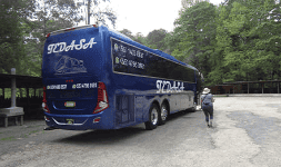 Renta de autobuses Escolares
