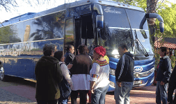 Renta de autobuses en Paquete