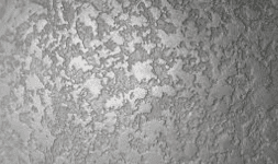 Emulsiones vinílicas para fabricar adhesivos para tirol