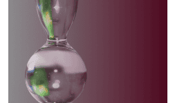 Saborizantes liquidos para cada aplicación