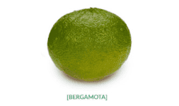 Bergamota italiana para aceite esencial