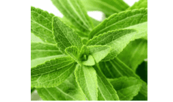 Edulcorantes a base de Stevia Steviose 100
