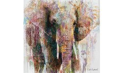 Cuadros decorativos retrato de Elefante