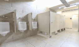 Mamparas de baños y regaderas Estándar Reforzada 5300