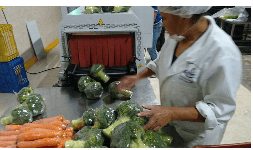Poliolefina macroperforada para empaque de verduras
