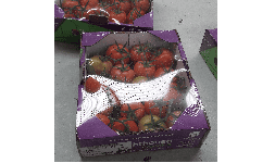 Poliolefina macroperforada para empaque de verduras