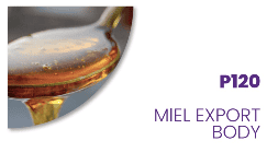 Cuidado personal fragancias Miel Export Body P120