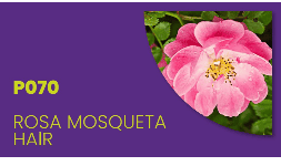 Cuidado personal fragancias Rosa Mosqueta Hair P070